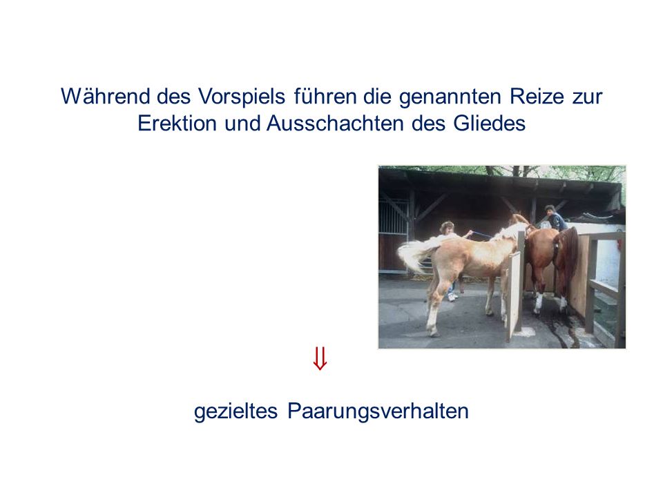 Die Beratungsstellen die Erhöhung das Mitglied